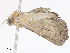  ( - CBG-A07109-G05)  @11 [ ] CreativeCommons - Attribution Share - Alike (2023) CBG Photography Group Centre for Biodiversity Genomics