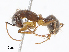  ( - CBG-A07110-B09)  @11 [ ] CreativeCommons - Attribution Share - Alike (2023) CBG Photography Group Centre for Biodiversity Genomics