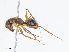  ( - CBG-A07110-C04)  @11 [ ] CreativeCommons - Attribution Share - Alike (2023) CBG Photography Group Centre for Biodiversity Genomics