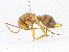  ( - CBG-A10773-E08)  @11 [ ] CreativeCommons - Attribution Share - Alike (2023) CBG Photography Group Centre for Biodiversity Genomics