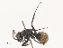  ( - CBG-A51898-G09)  @11 [ ] CreativeCommons - Attribution Share - Alike (2024) CBG Photography Group Centre for Biodiversity Genomics