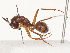  ( - CBG-A53653-B11)  @11 [ ] CreativeCommons - Attribution Share - Alike (2024) CBG Photography Group Centre for Biodiversity Genomics