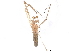  (Tetragnatha jaculator - BIOUG96715-F06)  @11 [ ] CreativeCommons - Attribution (2022) CBG Photography Group Centre for Biodiversity Genomics