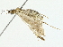  ( - BIOUG97727-C01)  @11 [ ] CreativeCommons - Attribution (2022) CBG Photography Group Centre for Biodiversity Genomics