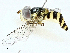 ( - BIOUG97745-F11)  @11 [ ] CreativeCommons - Attribution (2022) CBG Photography Group Centre for Biodiversity Genomics