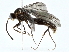  (Simopelta AFD4927 - BIOUG95301-G10)  @11 [ ] CreativeCommons - Attribution (2022) CBG Photography Group Centre for Biodiversity Genomics
