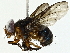  ( - BIOUG95336-C01)  @11 [ ] CreativeCommons - Attribution (2022) CBG Photography Group Centre for Biodiversity Genomics