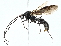  ( - BIOUG95341-B07)  @11 [ ] CreativeCommons - Attribution (2022) CBG Photography Group Centre for Biodiversity Genomics