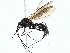 ( - BIOUG95341-B08)  @11 [ ] CreativeCommons - Attribution (2022) CBG Photography Group Centre for Biodiversity Genomics