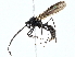  ( - BIOUG95341-B09)  @11 [ ] CreativeCommons - Attribution (2022) CBG Photography Group Centre for Biodiversity Genomics