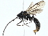  ( - BIOUG95341-B12)  @11 [ ] CreativeCommons - Attribution (2022) CBG Photography Group Centre for Biodiversity Genomics