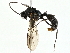 ( - BIOUG95341-C01)  @11 [ ] CreativeCommons - Attribution (2022) CBG Photography Group Centre for Biodiversity Genomics