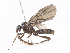  ( - CBG-A07097-H01)  @11 [ ] CreativeCommons - Attribution Share - Alike (2023) CBG Photography Group Centre for Biodiversity Genomics
