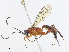  ( - CBG-A07100-C03)  @11 [ ] CreativeCommons - Attribution Share - Alike (2023) CBG Photography Group Centre for Biodiversity Genomics