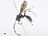  ( - CBG-A07100-E05)  @11 [ ] CreativeCommons - Attribution Share - Alike (2023) CBG Photography Group Centre for Biodiversity Genomics