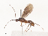  ( - CBG-A44297-E05)  @11 [ ] CreativeCommons - Attribution Share - Alike (2024) CBG Photography Group Centre for Biodiversity Genomics