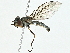  ( - BIOUG97723-F02)  @11 [ ] CreativeCommons - Attribution (2022) CBG Photography Group Centre for Biodiversity Genomics