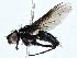  ( - BIOUG97723-G11)  @11 [ ] CreativeCommons - Attribution (2022) CBG Photography Group Centre for Biodiversity Genomics