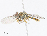  ( - CBG-A10774-B07)  @11 [ ] CreativeCommons - Attribution Share - Alike (2023) CBG Photography Group Centre for Biodiversity Genomics