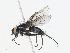  ( - CBG-A10775-F01)  @11 [ ] CreativeCommons - Attribution Share - Alike (2023) CBG Photography Group Centre for Biodiversity Genomics