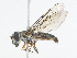  ( - CBG-A10778-F01)  @11 [ ] CreativeCommons - Attribution Share - Alike (2023) CBG Photography Group Centre for Biodiversity Genomics
