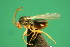  ( - EMS-S-exA04)  @11 [ ] Unspecified (default): All Rights Reserved  Unspecified Unspecified