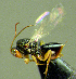  ( - EMS-S-exA55)  @11 [ ] Unspecified (default): All Rights Reserved  Unspecified Unspecified