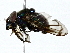  ( - BIOUG89988-E06)  @11 [ ] CreativeCommons - Attribution (2022) CBG Photography Group Centre for Biodiversity Genomics