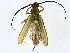  ( - BIOUG95303-A09)  @11 [ ] CreativeCommons - Attribution (2022) CBG Photography Group Centre for Biodiversity Genomics