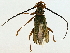  ( - BIOUG95312-C01)  @11 [ ] CreativeCommons - Attribution (2022) CBG Photography Group Centre for Biodiversity Genomics