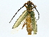  ( - BIOUG97722-B08)  @11 [ ] CreativeCommons - Attribution (2022) CBG Photography Group Centre for Biodiversity Genomics