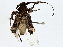  ( - BIOUG91415-E05)  @11 [ ] CreativeCommons - Attribution (2022) CBG Photography Group Centre for Biodiversity Genomics
