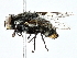  ( - BIOUG93339-E04)  @11 [ ] CreativeCommons - Attribution (2022) CBG Photography Group Centre for Biodiversity Genomics