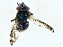  ( - BIOUG95314-E05)  @11 [ ] CreativeCommons - Attribution (2022) CBG Photography Group Centre for Biodiversity Genomics