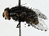  ( - BIOUG95333-C02)  @11 [ ] CreativeCommons - Attribution (2022) CBG Photography Group Centre for Biodiversity Genomics