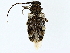  ( - BIOUG95334-C12)  @11 [ ] CreativeCommons - Attribution (2022) CBG Photography Group Centre for Biodiversity Genomics