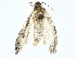  ( - BIOUG95335-F09)  @11 [ ] CreativeCommons - Attribution (2022) CBG Photography Group Centre for Biodiversity Genomics