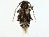  ( - BIOUG95335-H01)  @11 [ ] CreativeCommons - Attribution (2022) CBG Photography Group Centre for Biodiversity Genomics