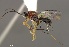  ( - ENBRA_NJ0003)  @11 [ ] No Rights Reserved (2019) Unspecified ESALQ USP