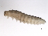  ( - 09PROBE-01355)  @13 [ ] CreativeCommons - Attribution (2009) Unspecified Centre for Biodiversity Genomics