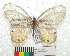  ( - MHNC-ELR-BAR 0119)  @11 [ ] CreativeCommons - Attribution Non-Commercial (2013) Arturo Munos Saravia Museo de Historia Natural Alcide d'Orbigny
