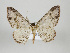  ( - Eo00540)  @14 [ ] Copyright (2008) Gunnar Brehm none