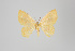  (Eois zenobia - GeoCR 35378)  @15 [ ] Copyright (2013) Gunnar Brehm Institut fuer Spezielle Zoologie und Evolutionsbiologie, Friedrich-Schiller Universität Jena
