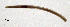 ( - RS2093)  @11 [ ] by-nc-sa (2024) R.M.Schmelz n/a