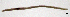  ( - RS2094)  @11 [ ] by-nc-sa (2024) R.M.Schmelz n/a