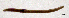  ( - RS2097)  @11 [ ] by-nc-sa (2024) R.M.Schmelz n/a