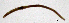  ( - RS2099)  @11 [ ] by-nc-sa (2024) R.M.Schmelz n/a
