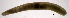  ( - RS2198)  @11 [ ] by-nc-sa (2024) R.M.Schmelz n/a