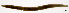  ( - RS2200)  @11 [ ] by-nc-sa (2024) R.M.Schmelz n/a