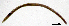  ( - RS2236)  @11 [ ] by-nc-sa (2024) R.M.Schmelz n/a